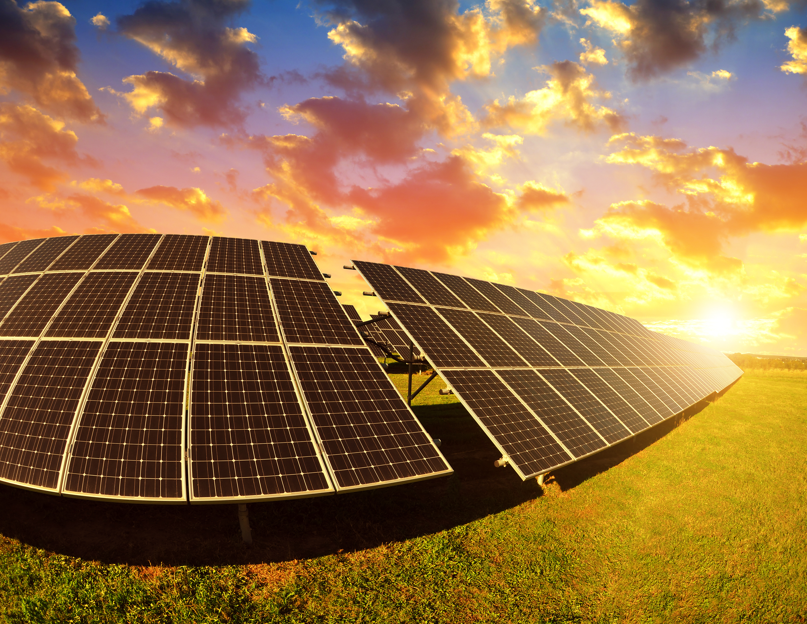 Solar panels installed on the ground